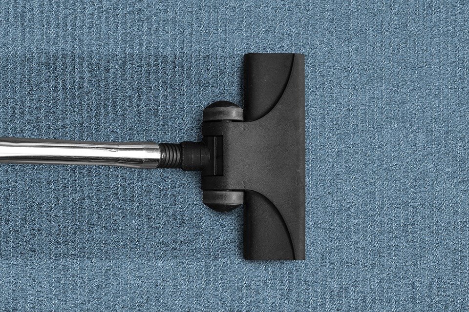 Professional Carpet Cleaning